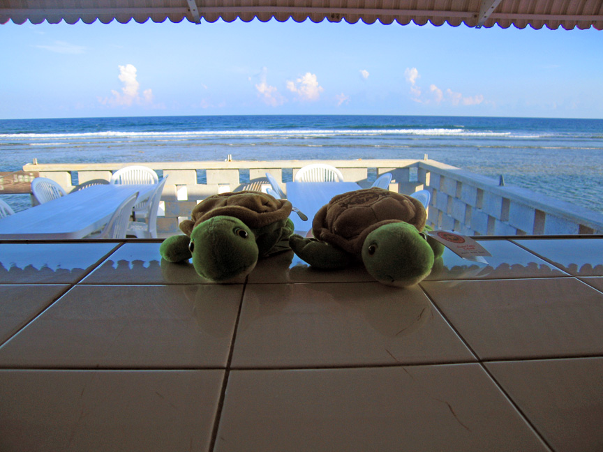 We stayed at the Brac Reef Resort on Cayman Brac!